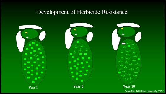 http://files.harrells.com/www/Figure 5_Progression of herbicide resistance over time.jpg
